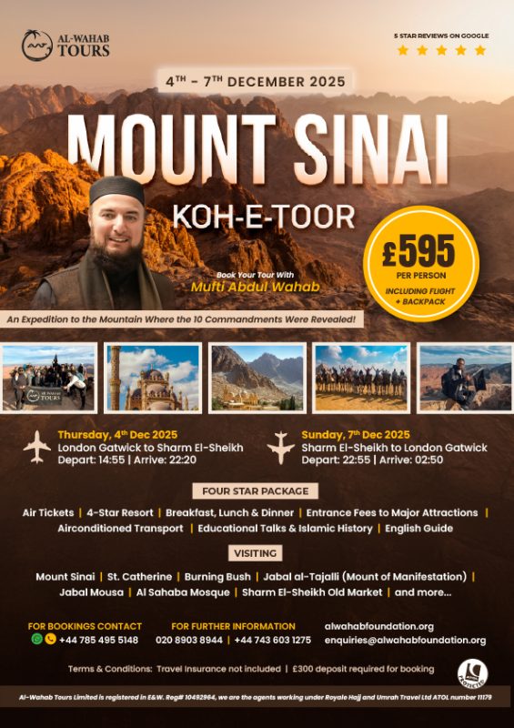 Mount Sinai - website poster-01